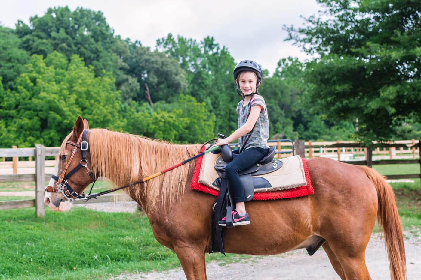 Download Horseback Riding Anne Springs Close Greenway