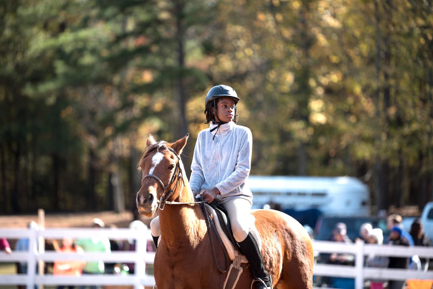 Horse Shows Anne Springs Close Greenway