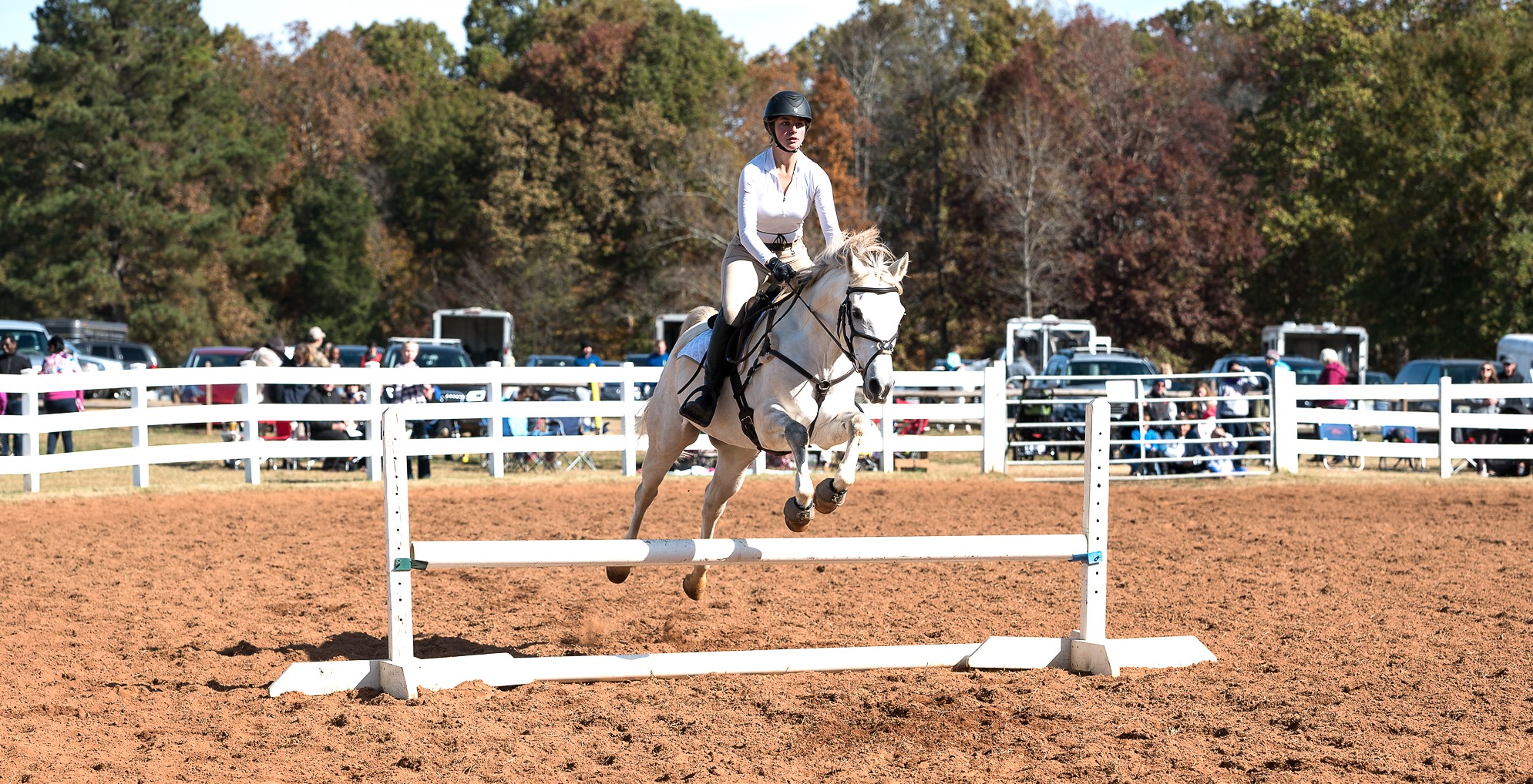 Horse Shows Anne Springs Close Greenway